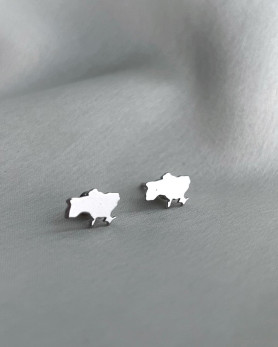 Сережки - пусети (гвоздики) Україна